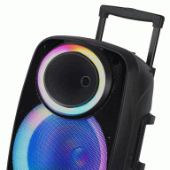 Wireless Bluetooth Rechargeable Karaoke Trolley Speaker 15” 3600mAh, NDR-A55