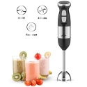 RAF R319 Hand Blender 800W 