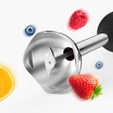 RAF R319 Hand Blender 800W 