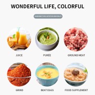 RAF R319 Hand Blender 800W 