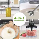 HAEGER 4 in 1 Portable Hand blender with Chopper/Whisker and Juicer