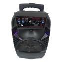 Wireless Bluetooth Rechargeable Karaoke Trolley Speaker 8”, QS-81 Wireless Bluetooth Rechargeable Karaoke Trolley Speaker 8”, QS-81