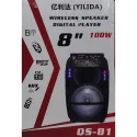  Wireless Speaker, YILIDA, Digital Player 8" 100W