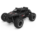 4WD Passion Impact High Speed Electric Toy Vehicle 