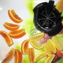  Sinbo STO6505 Lemon Slicer