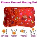 RECHARGEABLE ELECTRIC HOT WATER BAG