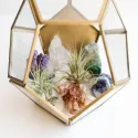  1Pc Multifunction Glass Geometric Terrarium