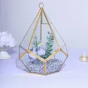  1Pc Multifunction Glass Geometric Terrarium