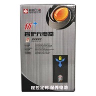 ELECTRIC BICYCLE CHARGER, 60V  20Ah